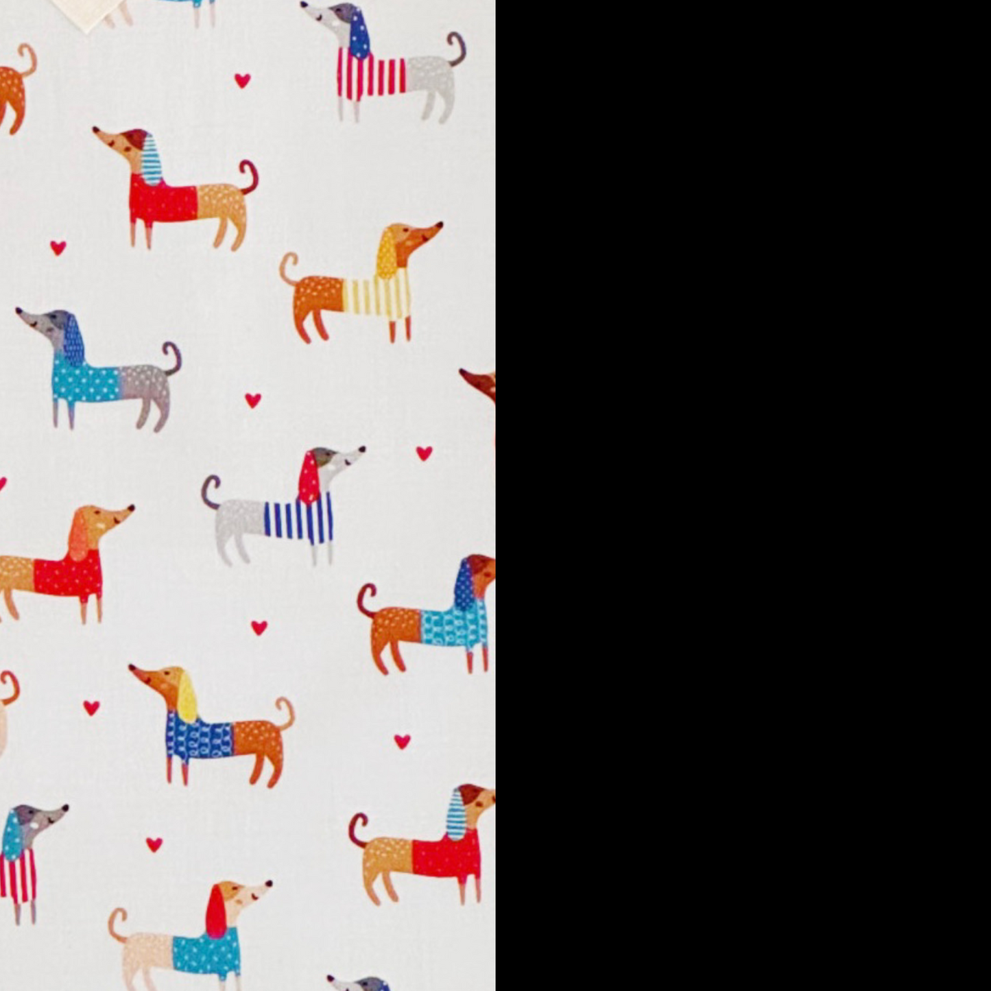 La Sportina - bassotti